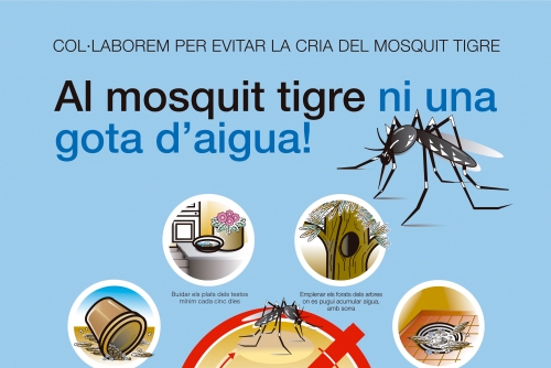 Al mosquit tigre ni una gota d’aigua!