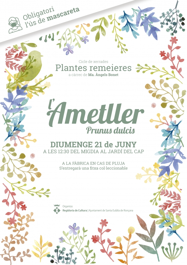 Plantes remeieres ametller