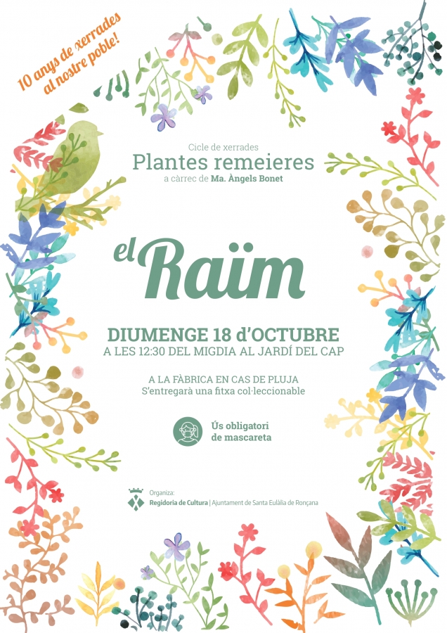 Plantes remeieres - El raïm