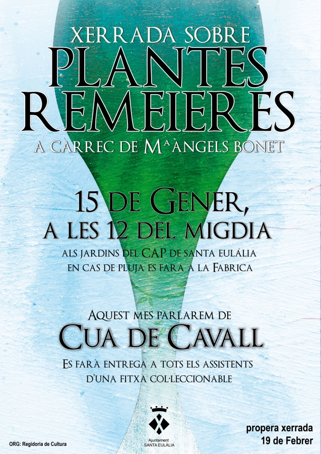 Cartell de la xerrada