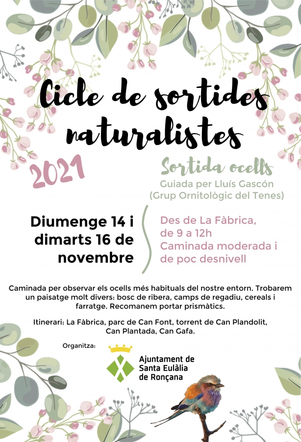 Cicle de sortides naturalistes: ocells