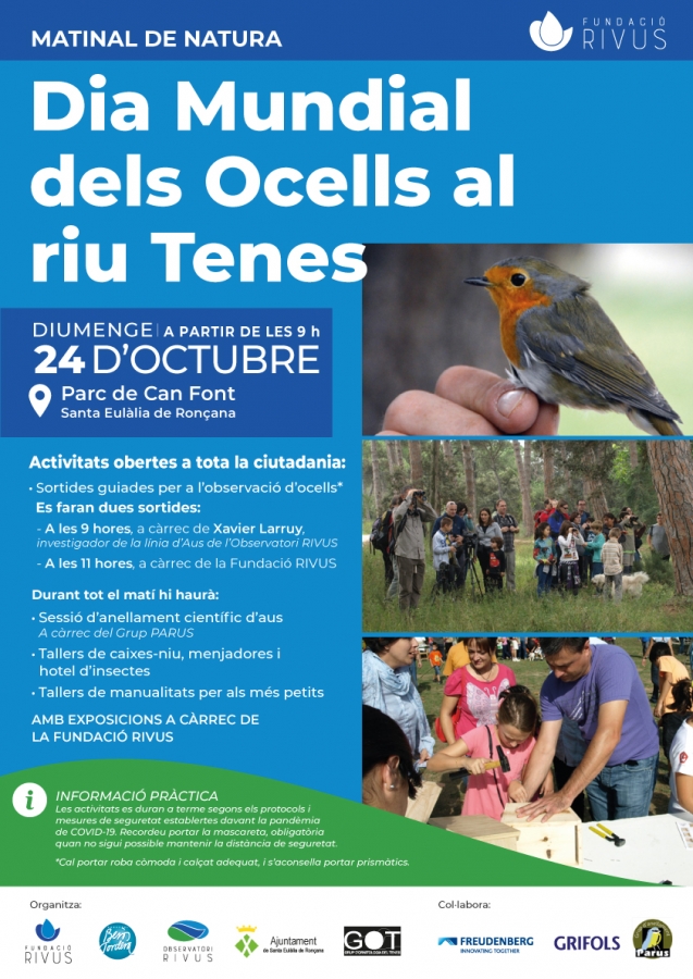 Dia Mundial dels Ocells al riu Tenes