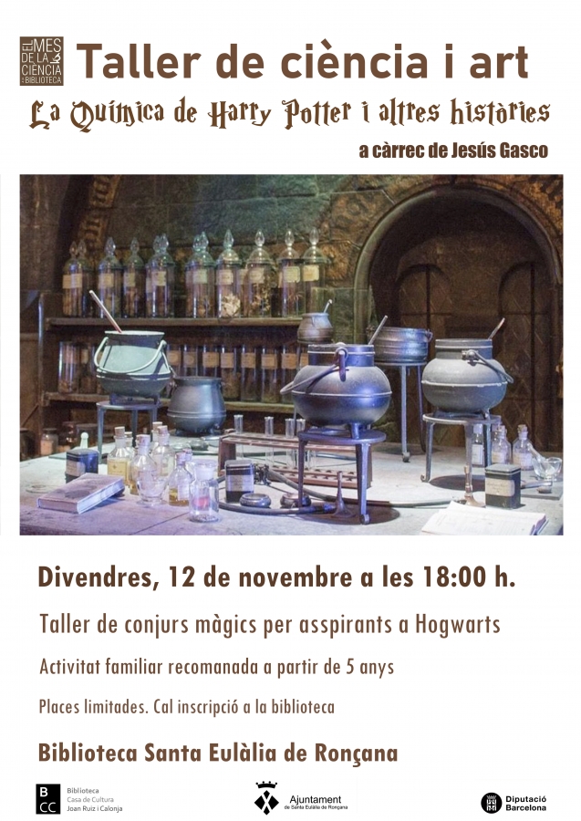 Taller de ciència i art