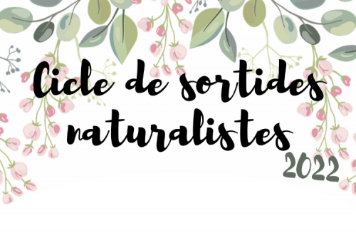 Cicle de sortides naturalistes
