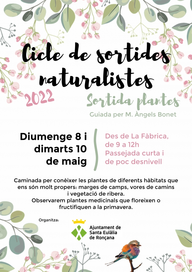 Cicle de sortides naturalistes: plantes (maig)