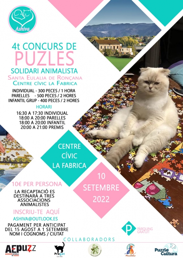 Campionat de Puzzles 2022