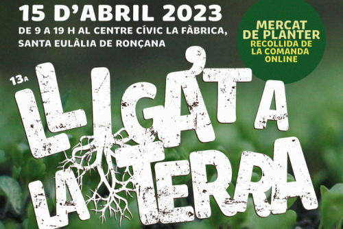 13a Lliga't a la terra