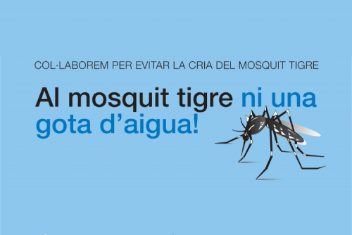 Mosquit tigre