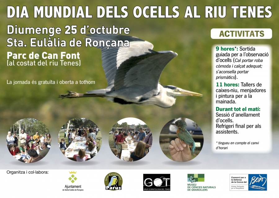 Dia Mundial dels ocells