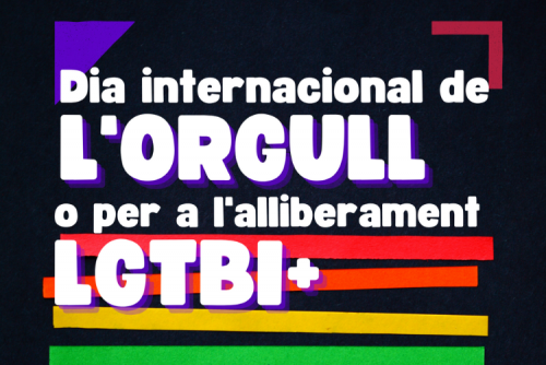 Dia internacional de l'orgull LGTBI