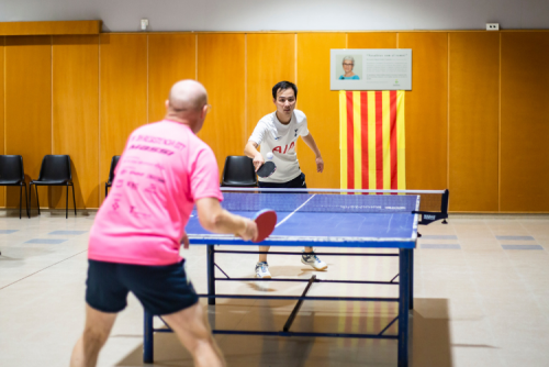 Torneig ping-pong