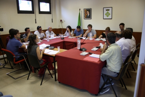 Ple ordinari