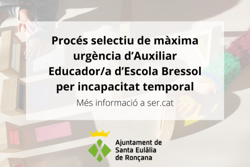 Procés auxiliar educadora