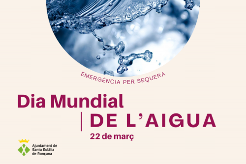 Dia Mundial de l'Aigua