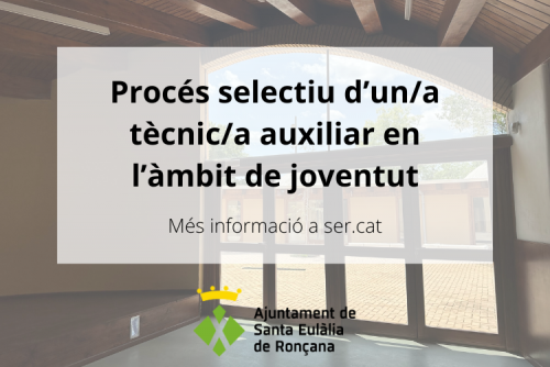 Tècnic auxiliar Joventut