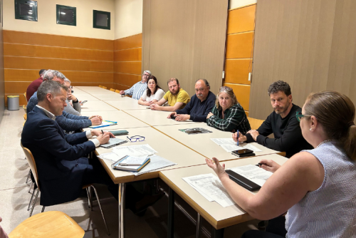 Consell de Barris
