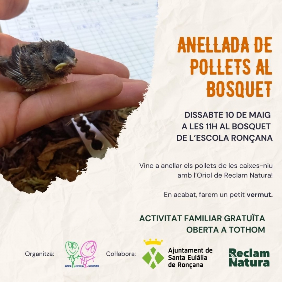 Anellada al bosquet