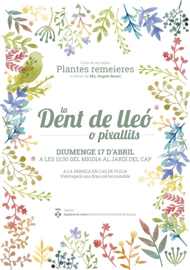 Xerrada plantes remeieres