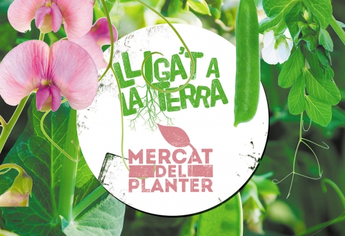 VII Fira Lliga't a la Terra