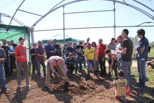 Taller de substrat i fertilitat del sòl