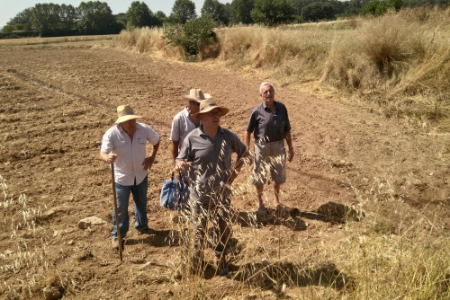 Preparació del camp de Can Lluïset per poder plantar les mongetes