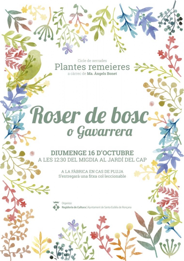 Roser de bosc o gavarrera