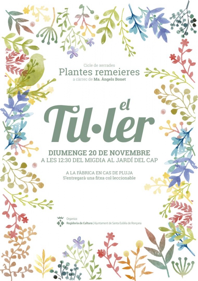 Xerrada plantes remeieres: el til·ler