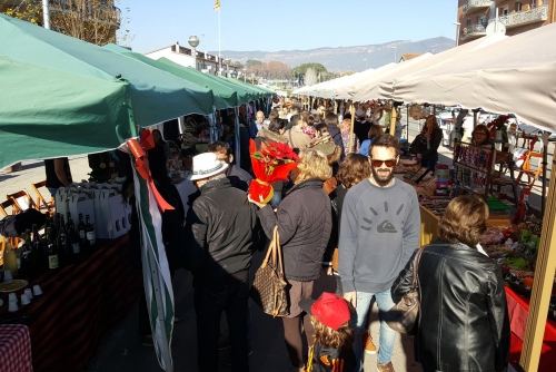 El carrer Mare de Déu de la Salut, ple de gom a gom