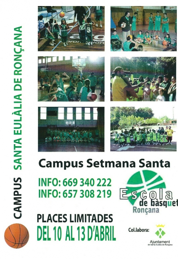 Campus bàsquet