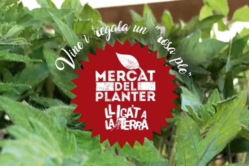 Lliga't a la Terra 2017