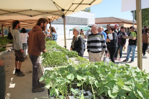 El Mercat del Planter va vendre 14.000 unitats