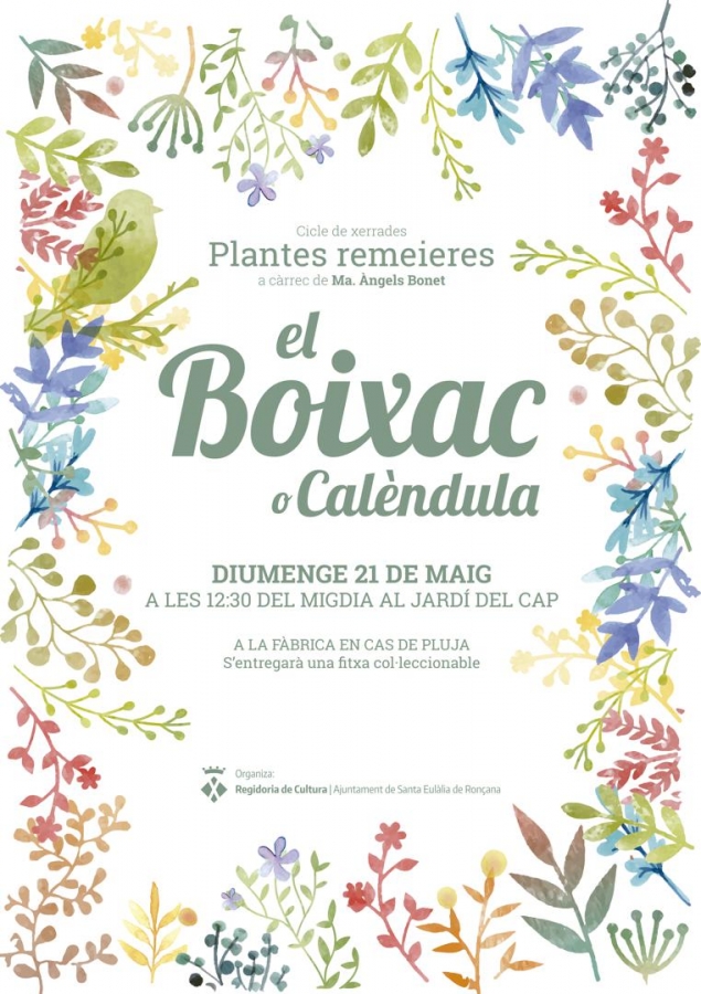 Plantes remeieres Boixac