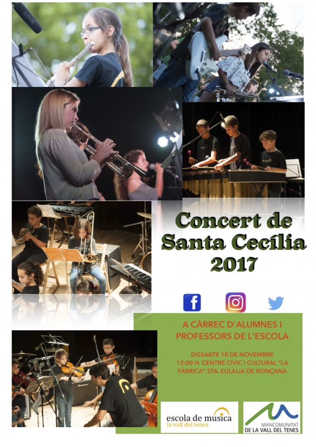 Concert Santa Cecília