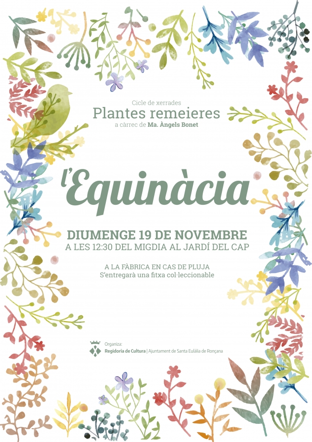 Equinàcia