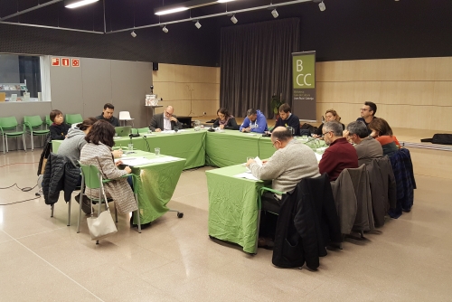 Ple ordinari del passat mes de novembre