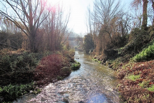 Camí fluvial del riu Tenes