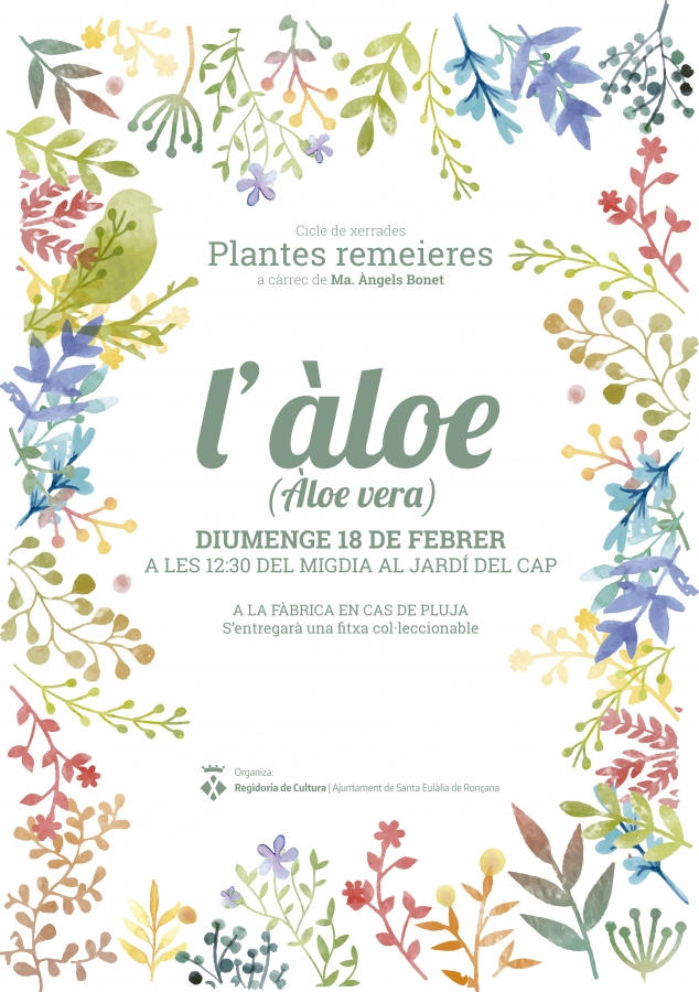 Xerrada sobre plantes remeieres