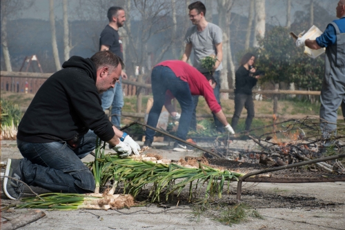 La 26a Calçotada Popular va coure 4.000 calçots