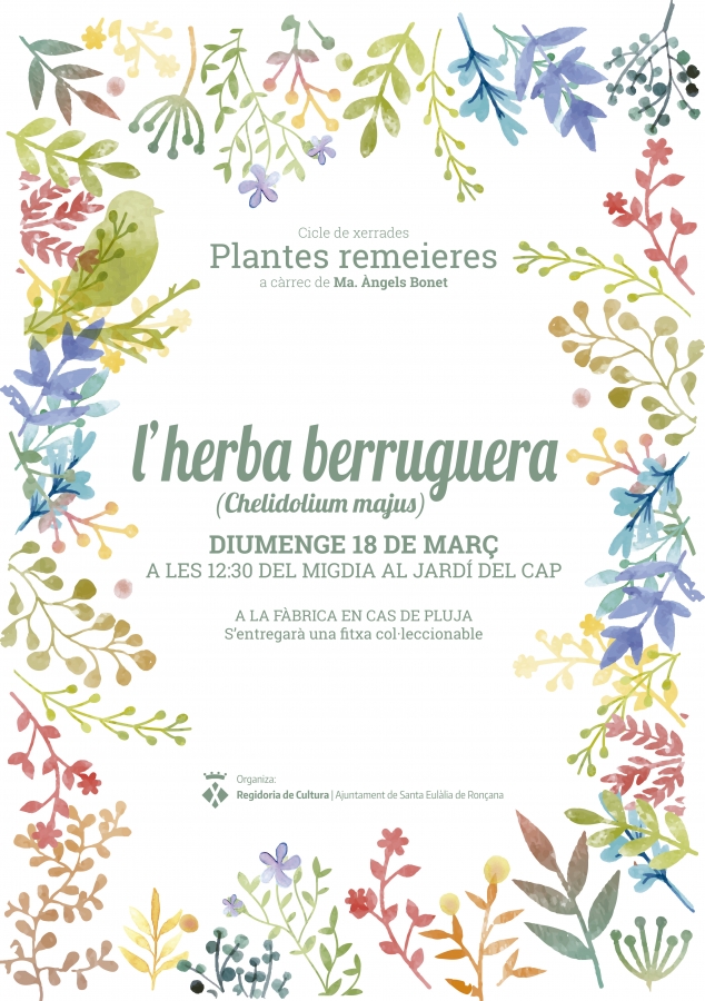 L'herba berruguera