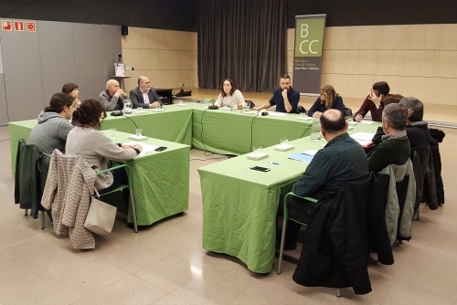 Ple ordinari del passat mes de gener