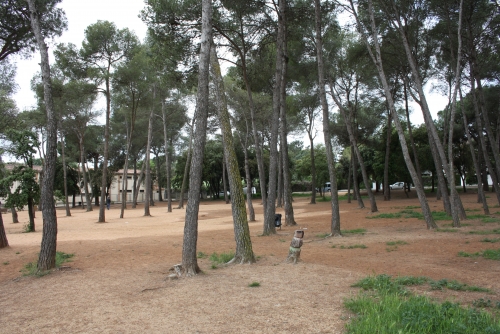 Obres bosc escola Ronçana