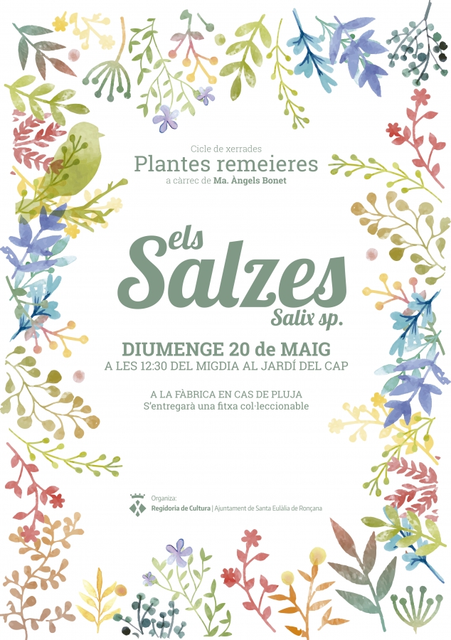 Els salzes