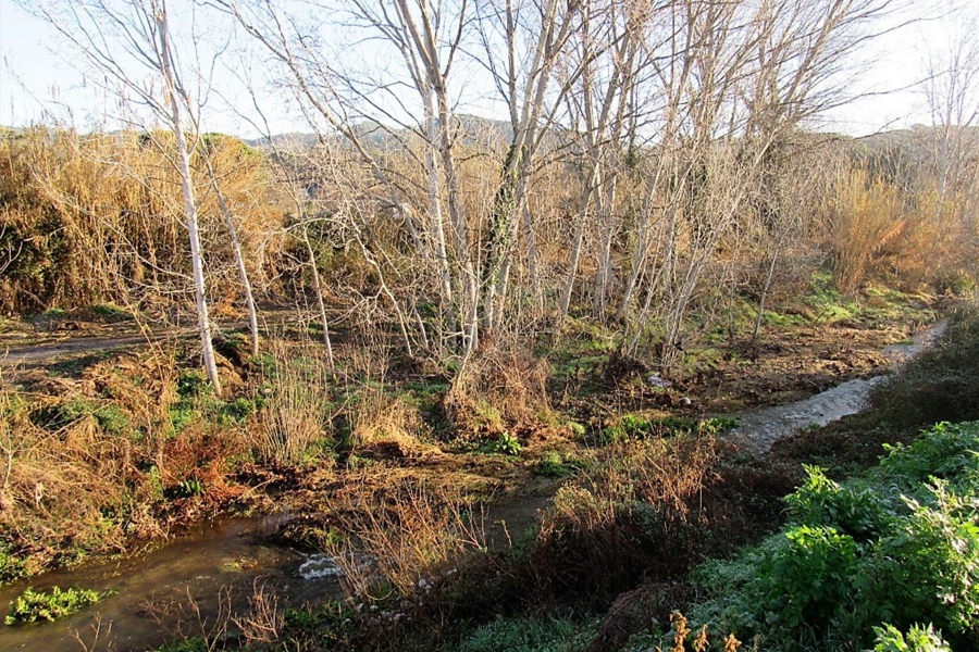 Camí fluvial del riu Tenes