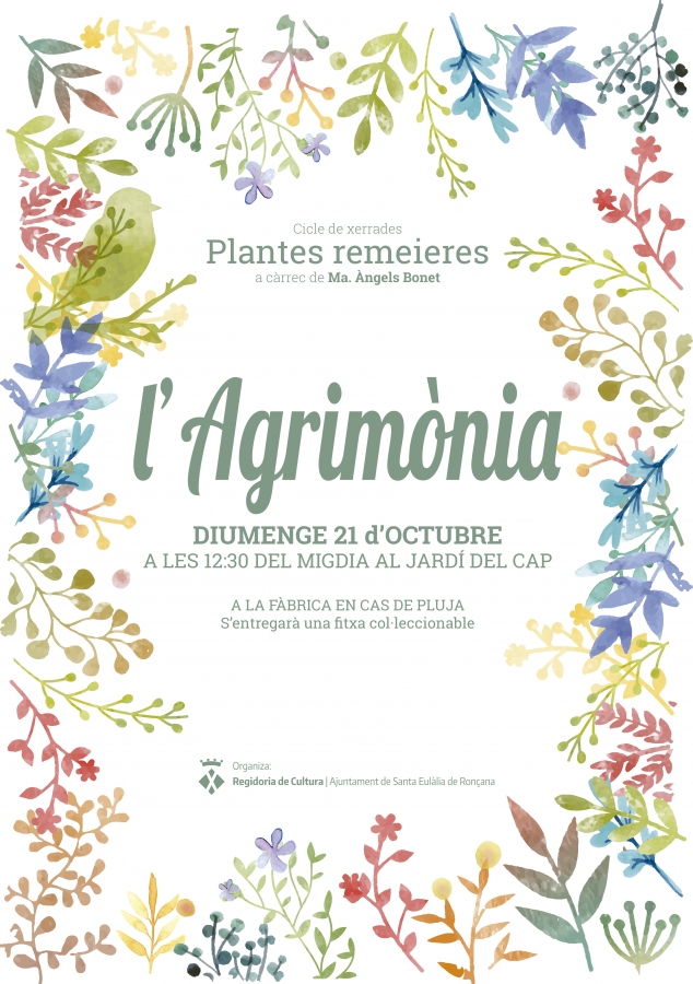 L'agrimònia