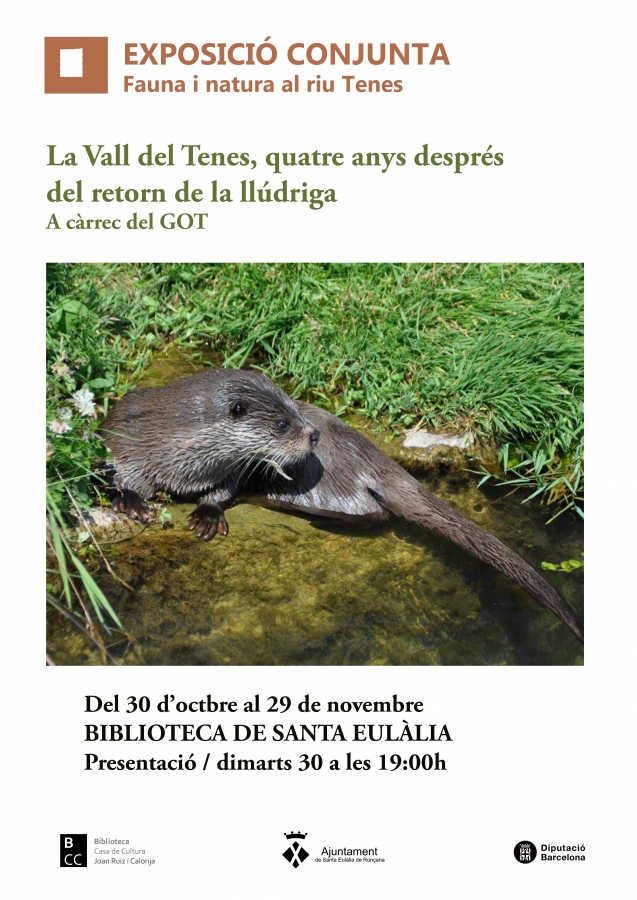 La Vall del Tenes, quatre anys després del retorn de la llúdriga