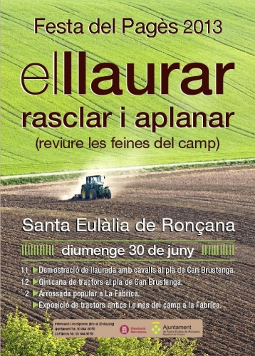 Cartell de la Festa
