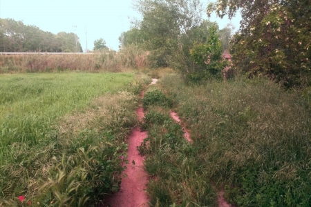 Estat del camí fluvial abans de l'actuació