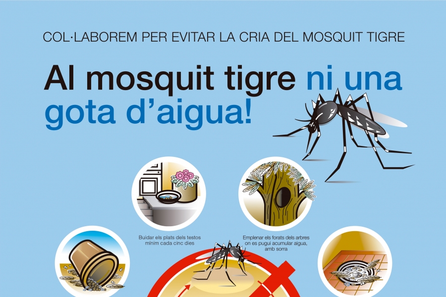 Al mosquit tigre ni una gota d’aigua!