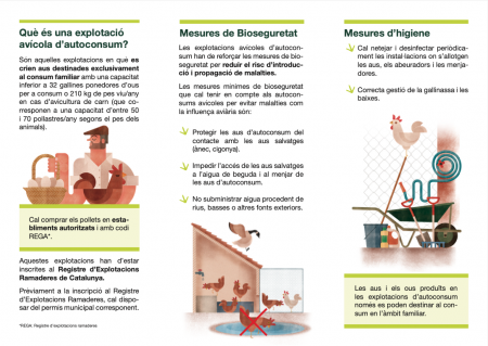 Cria d'aus per autoconsum a Catalunya