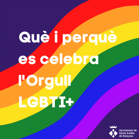 Què i perquè es celebra l'Orgull LGBTI+ 1